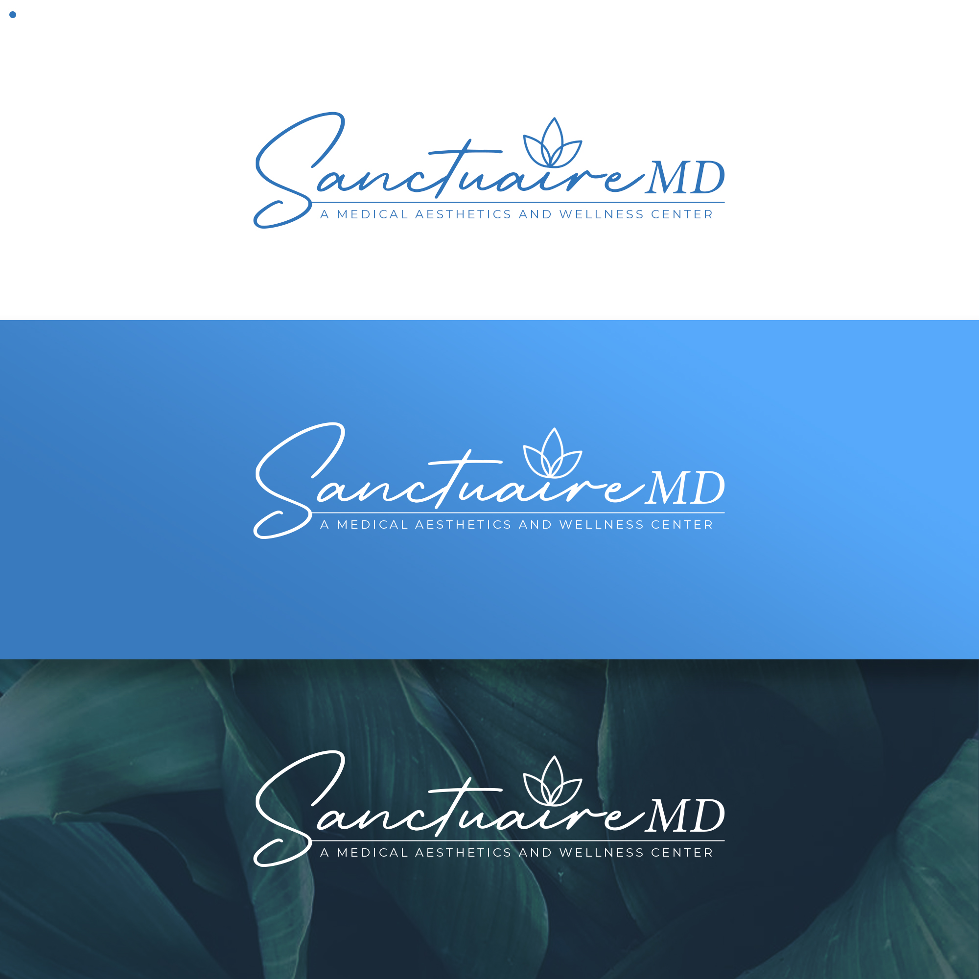 Logo Design by JR Studios for Sanctuaire MD | Design #28821635