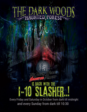 Design de Flyer par uk pour ce projet | Design : #28829683