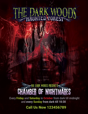 Chamber of nightmares | Flyer Design by uk