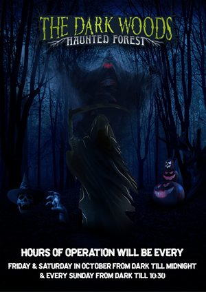 Flyer Design by Fusionex Studio