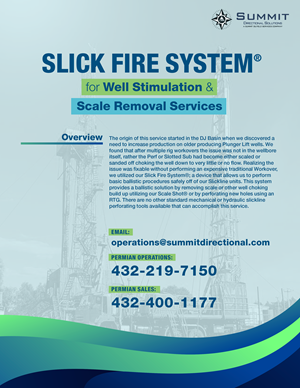 Flyer Design by hausen for this project | Design: #28880628