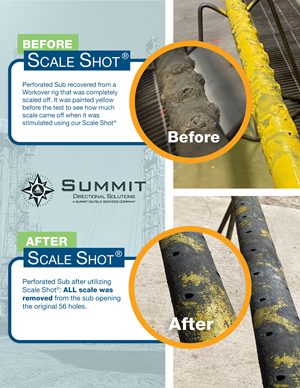 Flyer Design by hausen for this project | Design: #28880631