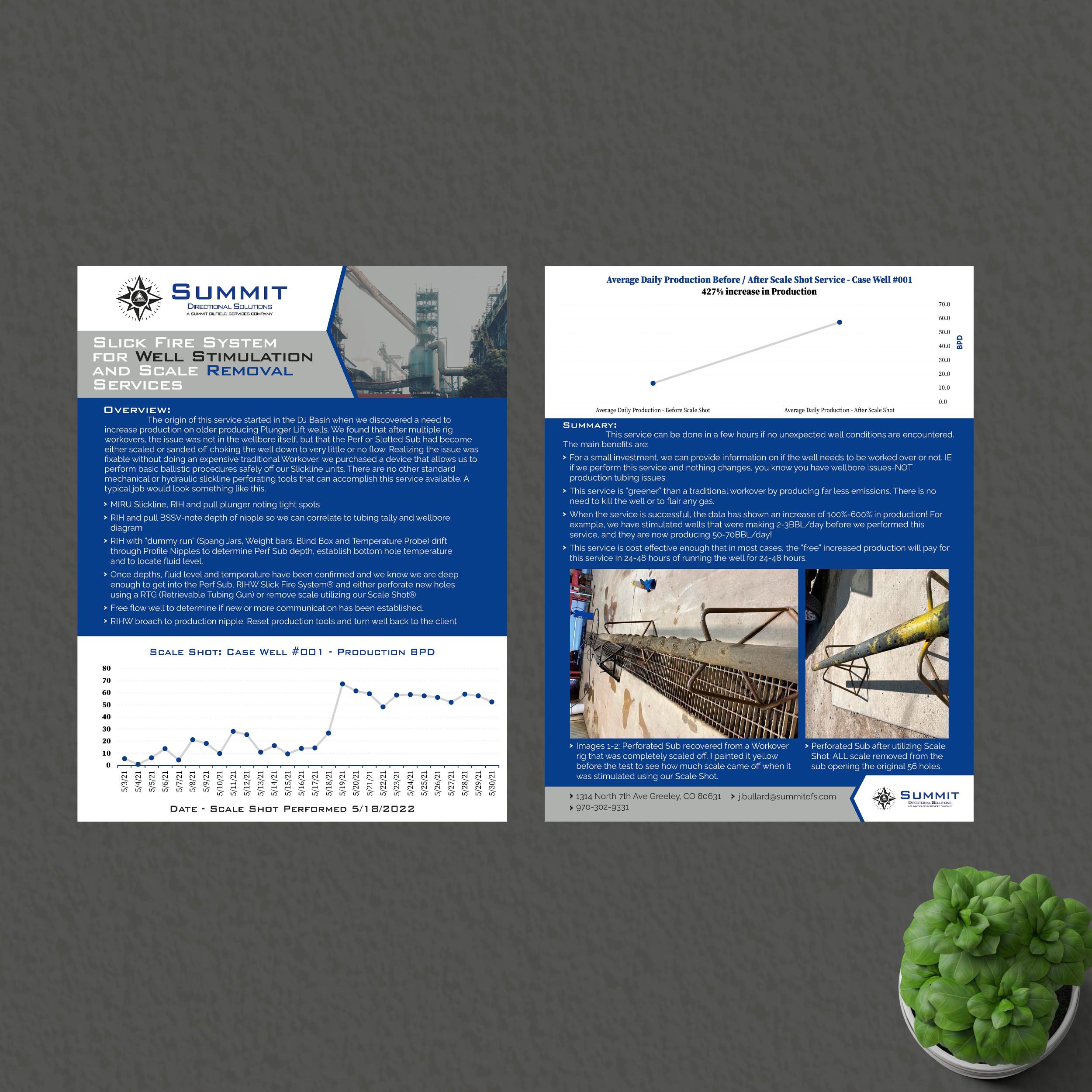 Flyer Design by Titan Solbiz for this project | Design #28842231