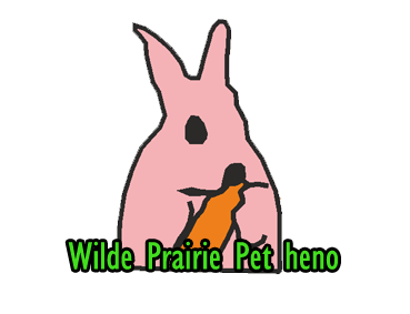 Diseño de Logo por ROCKAMUERTA CREATIONS para este proyecto | Diseño #3074330