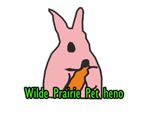 Logo Design by ROCKAMUERTA CREATIONS