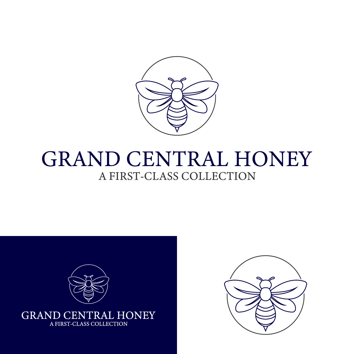 Logo Design by EvoGo Designers for this project | Design #28879859