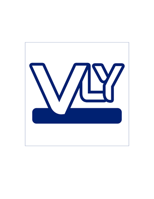 Logo Design by Bode Mesh