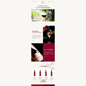 Web Design by Arjun Rajiv