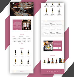 Web Design by Samahir Sharif for Mondo Imports LLC | Design: #28852702