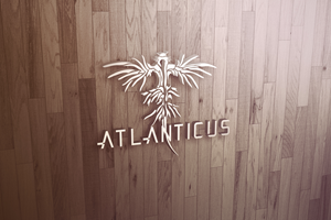 Graphic Design by lookedaeng