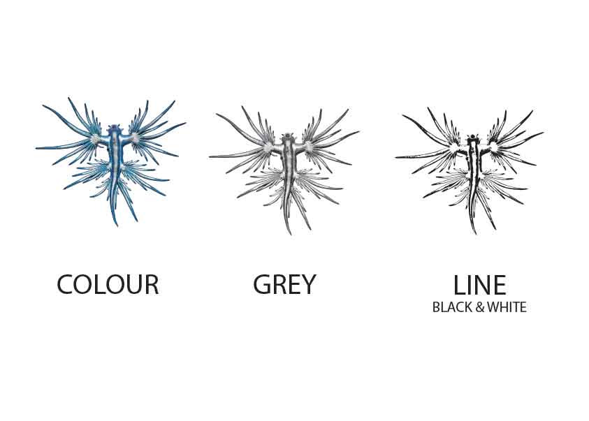 Graphic Design by Creative D2024 for this project | Design #28854441