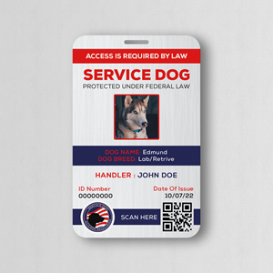 Business Card Design by WebixBD for this project | Design #28853898