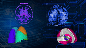 PowerPoint Design by Ashani Bhattacharya for Pixel Technology | Design: #28858187