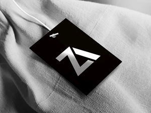 Logo Design by equinoxdizain for Triumph Elite | Design: #28854945