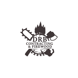 Logo Design by Jhannel55 for this project | Design: #28859464