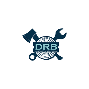 Logo Design by Franabanana for this project | Design: #28860841