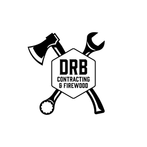 Logo Design by JohnnyCactus