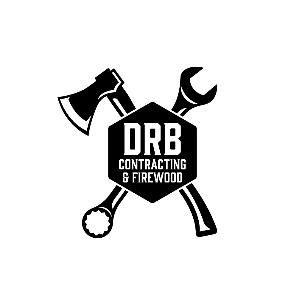 Logo Design by JohnnyCactus for this project | Design #28858970