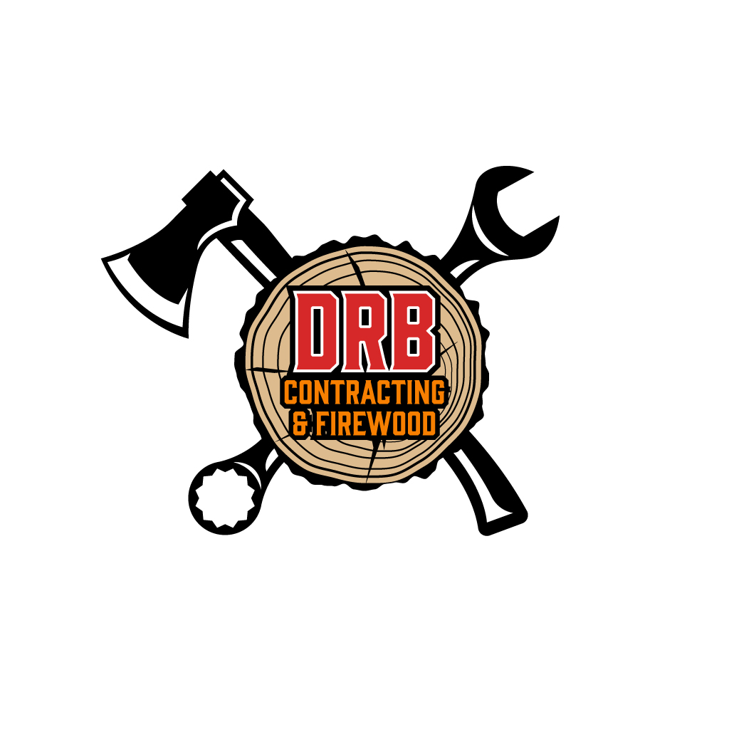 Logo Design by JohnnyCactus for this project | Design #28859907