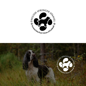 Logo Design by MOH Studio