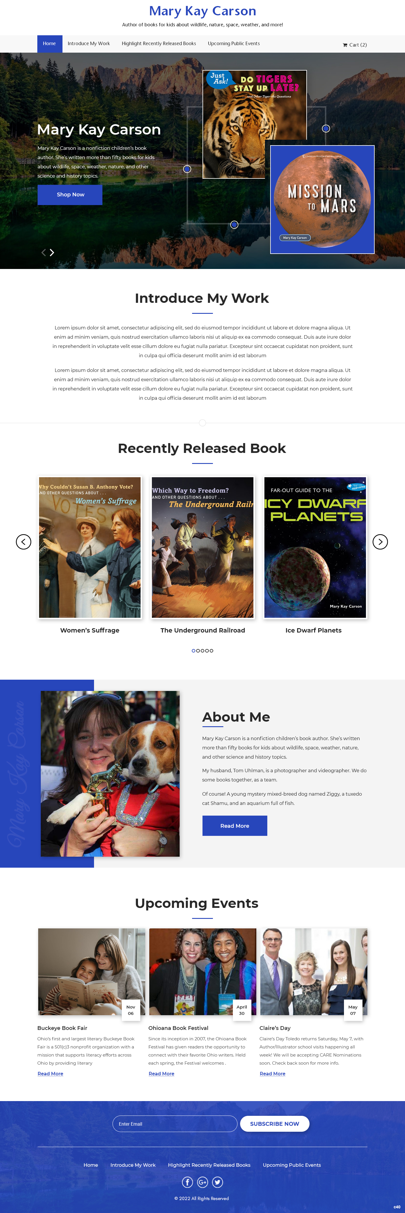 Web Design by pb for R Software | Design #28883080