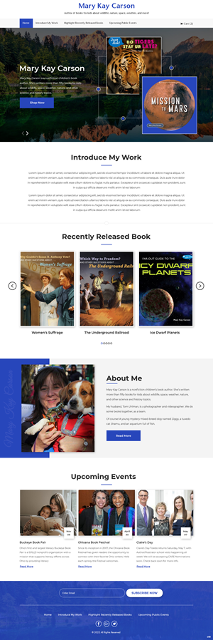 Web Design by pb for R Software | Design: #28883080