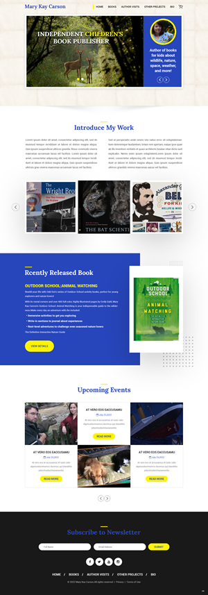 Web Design by pb for R Software | Design: #28883081