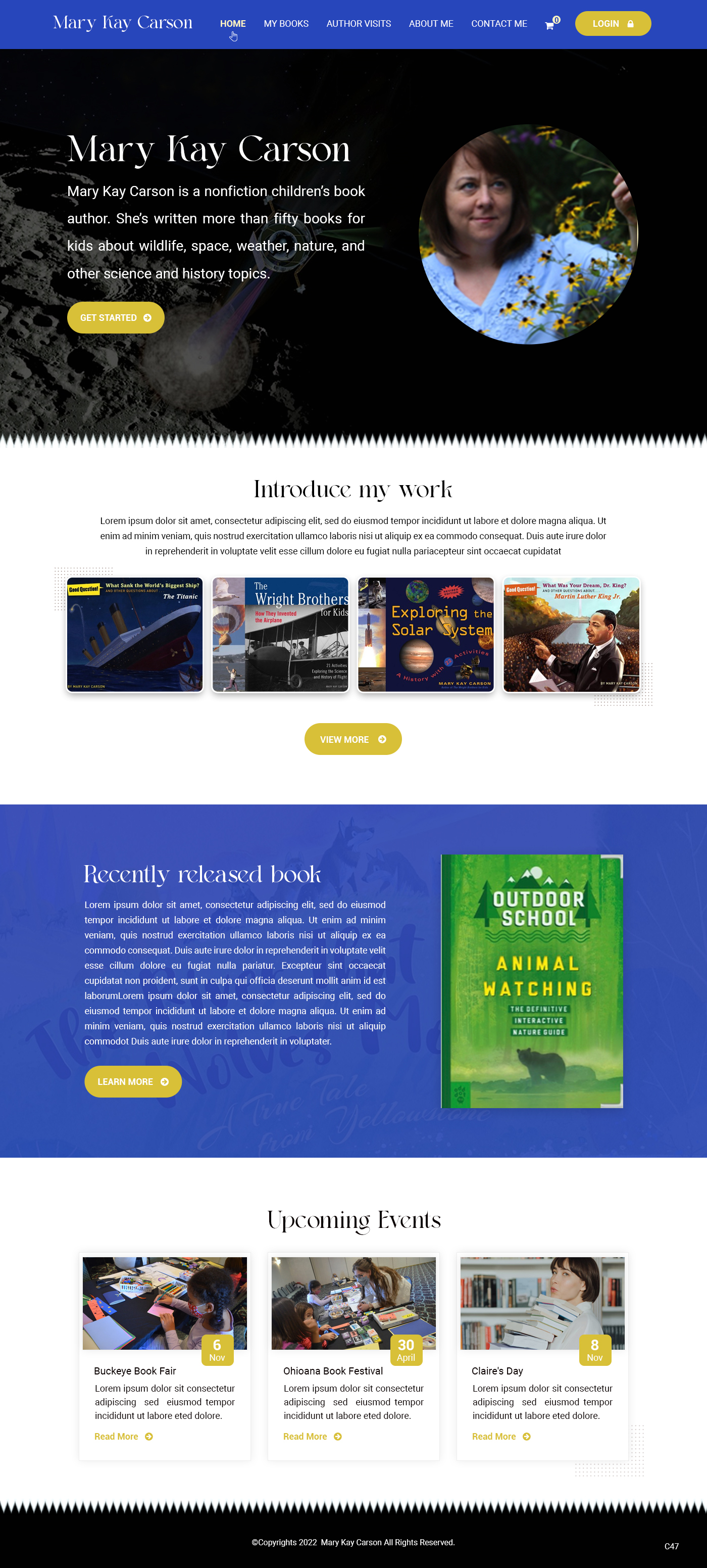 Web Design by pb for R Software | Design #28883087