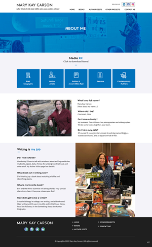 Web Design by pb for R Software | Design: #28955343