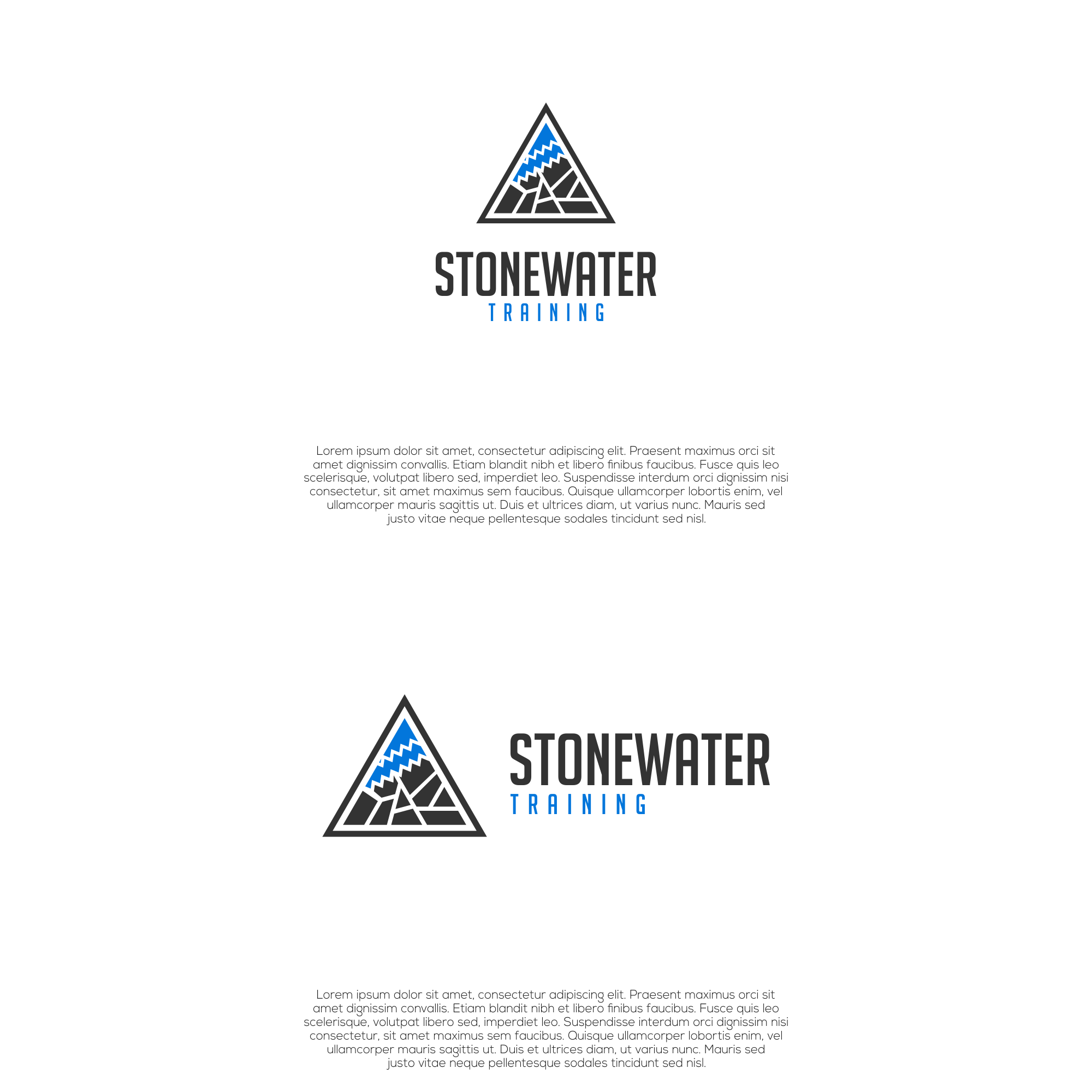 Design de Logo par untung bertubi-tubi pour StoneWater Training LLC | Design #28865452