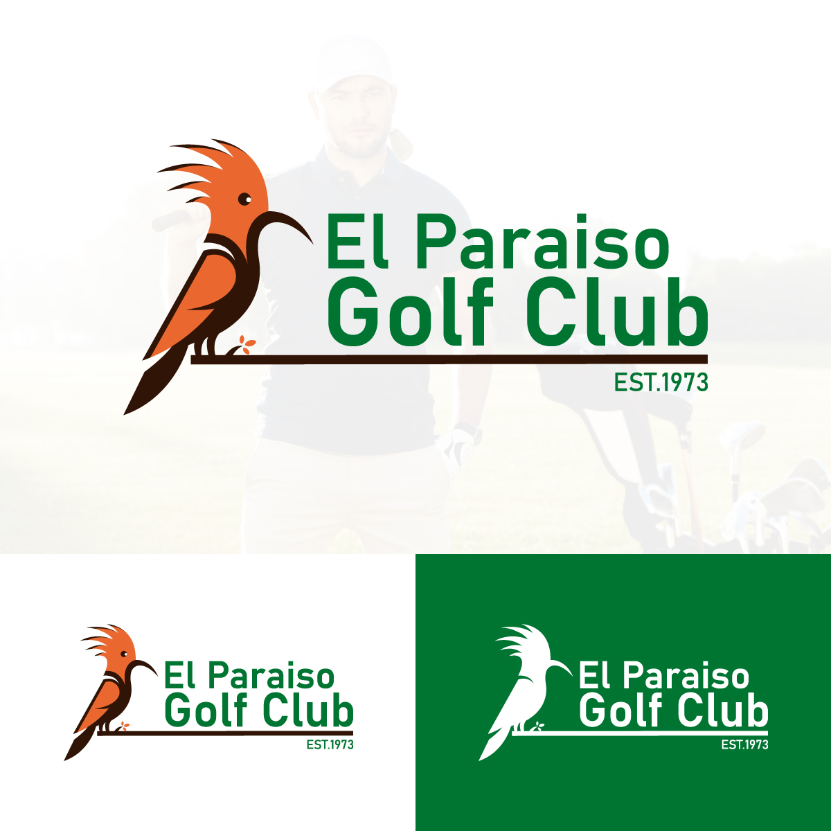 Diseño de Logo por EvoGo Designers para este proyecto | Diseño #28896548