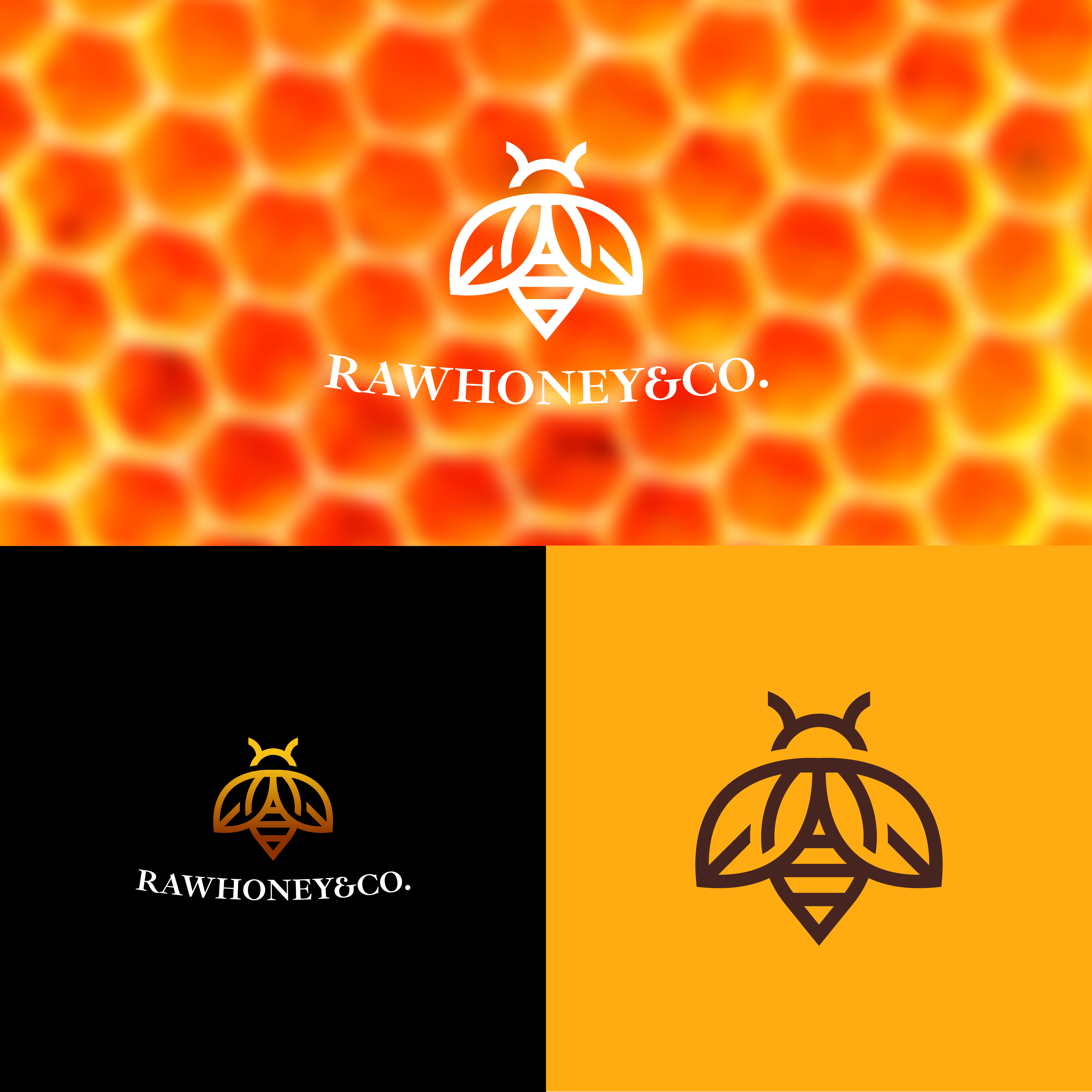 Diseño de Logo por A.R.D.P para este proyecto | Diseño #28869099