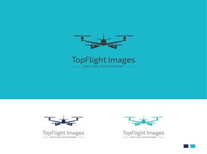 Logo Design by ddesign for TopFlight Images | Design #28880710