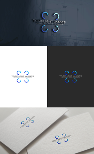 Logo Design by GLDesigns for TopFlight Images | Design: #28877589