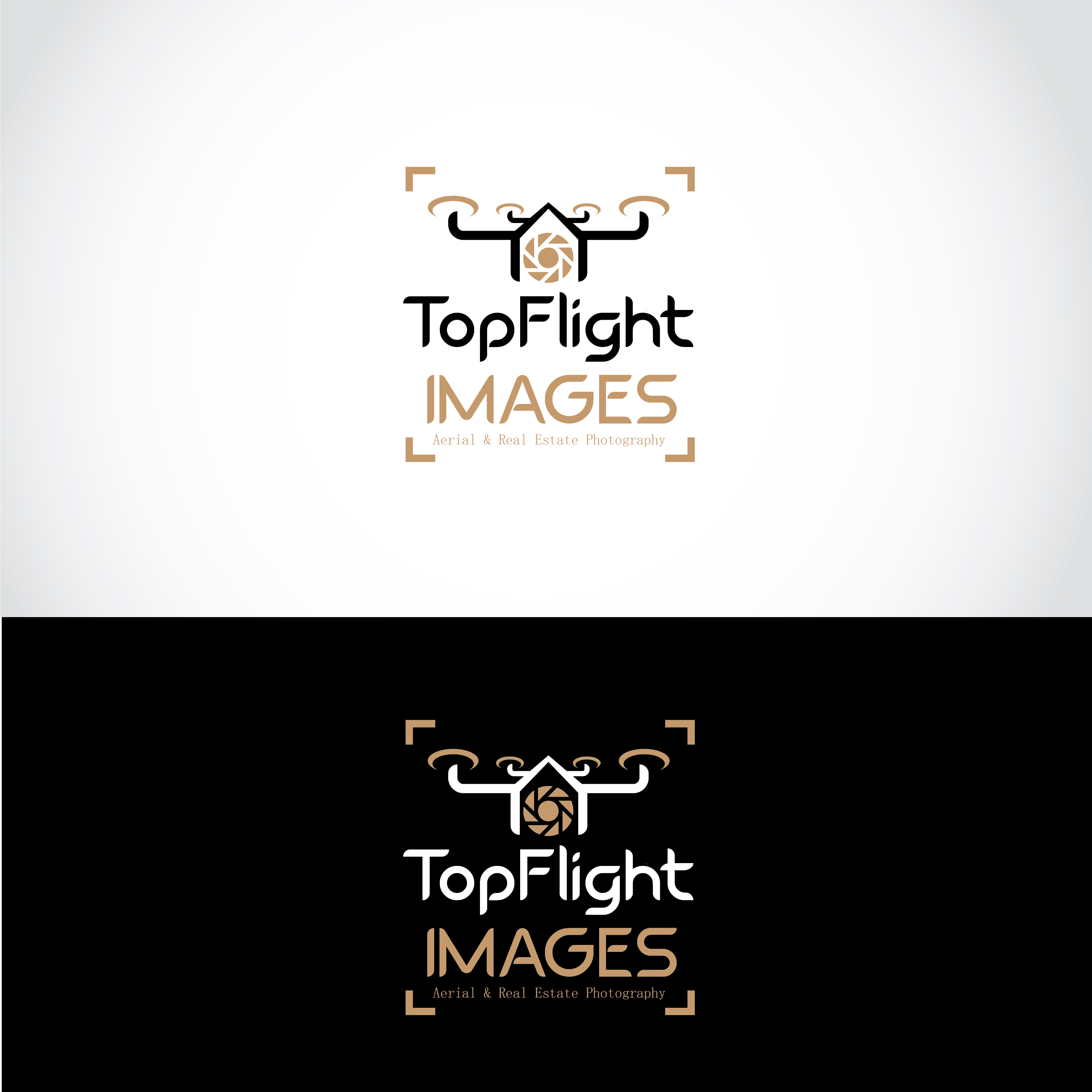 Logo Design for "TopFlight Images" is the main logo design. Under the