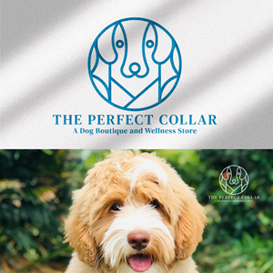 Logo Design by nerdstudios