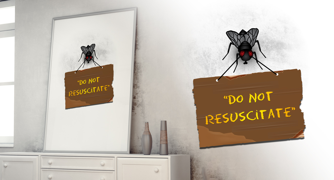 Graphic Design by Impressive Sol for this project | Design #28888414