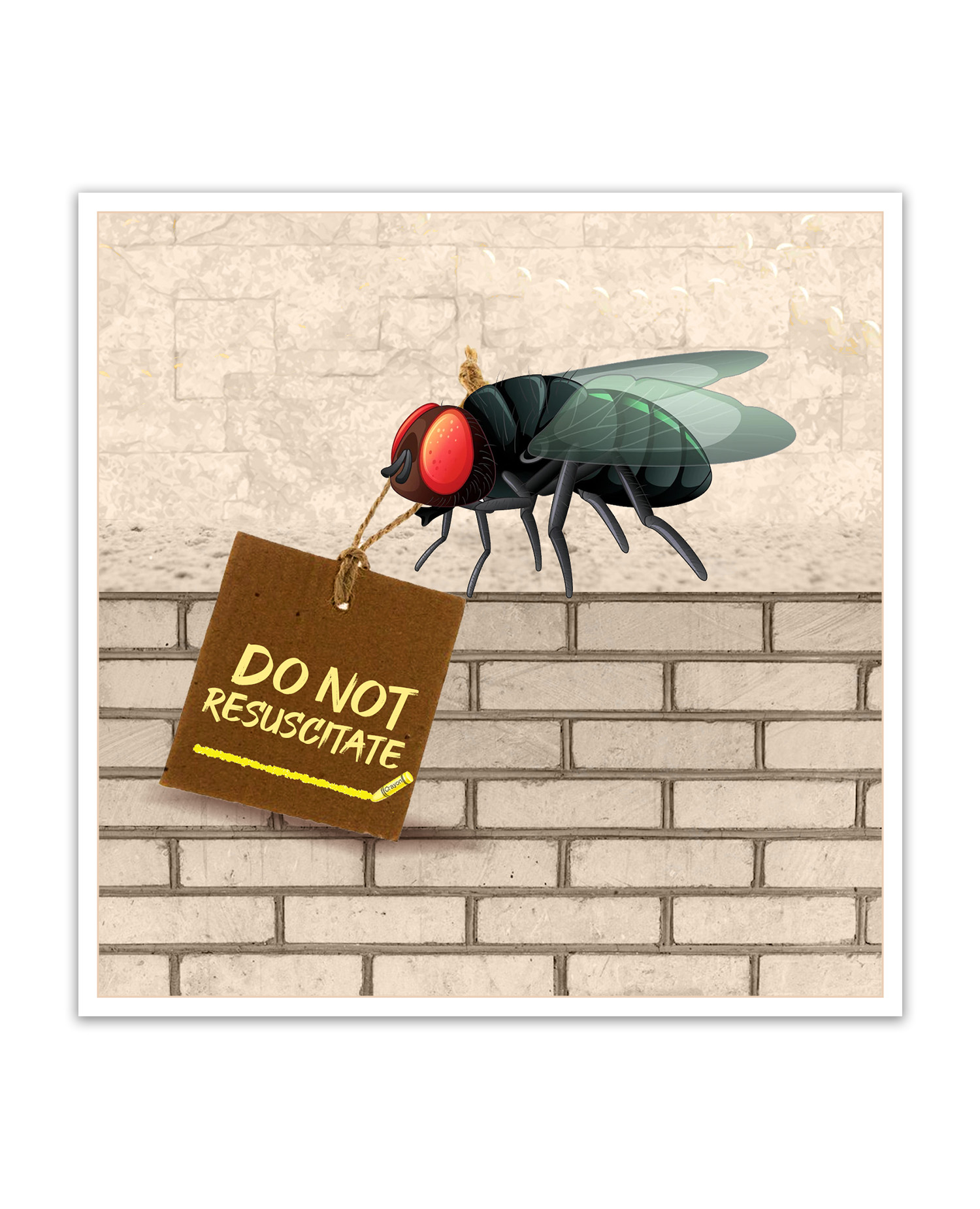 Design Graphique par debdesign pour ce projet | Design #28892758