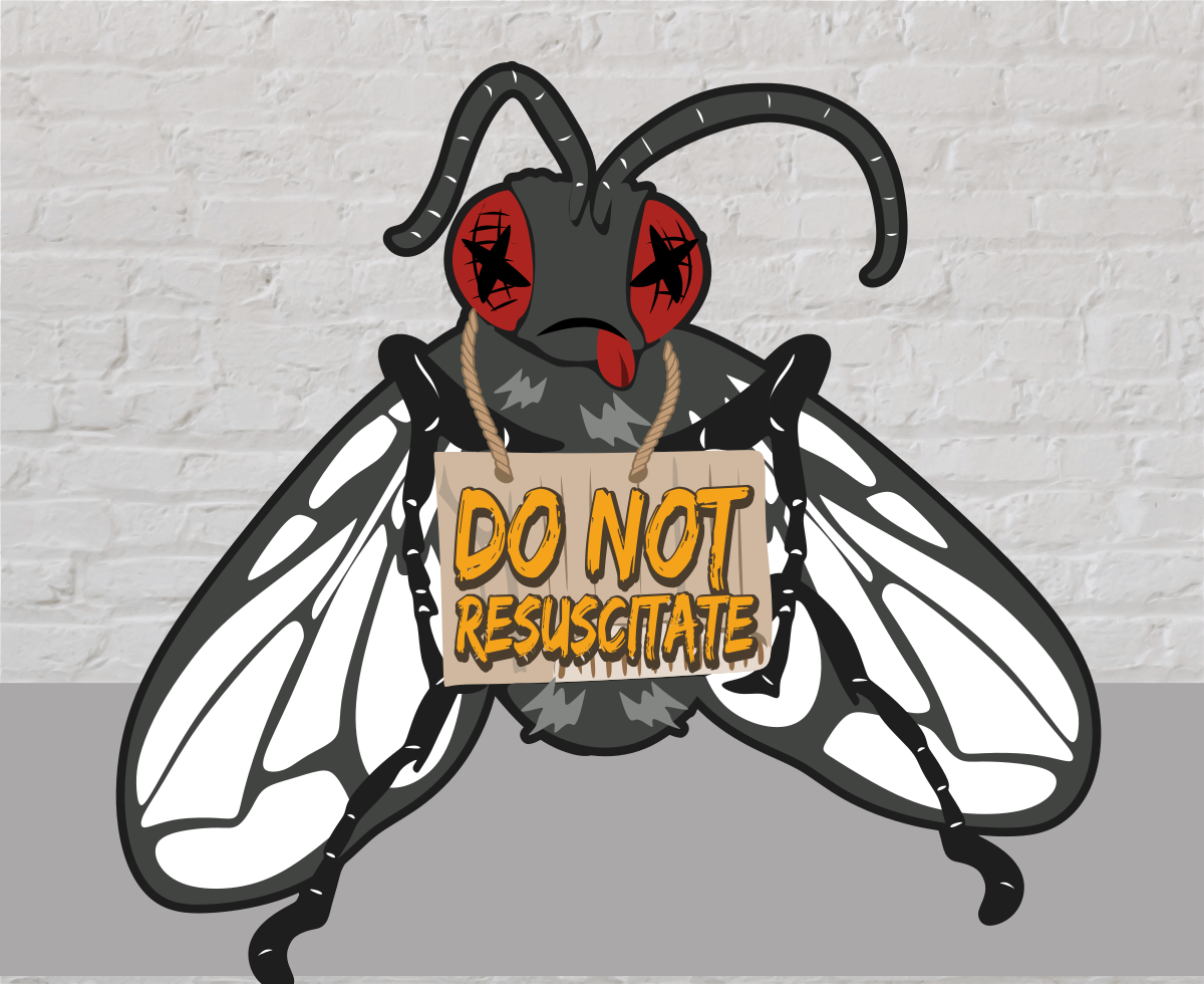 Graphic Design by design.bb for this project | Design #28888122