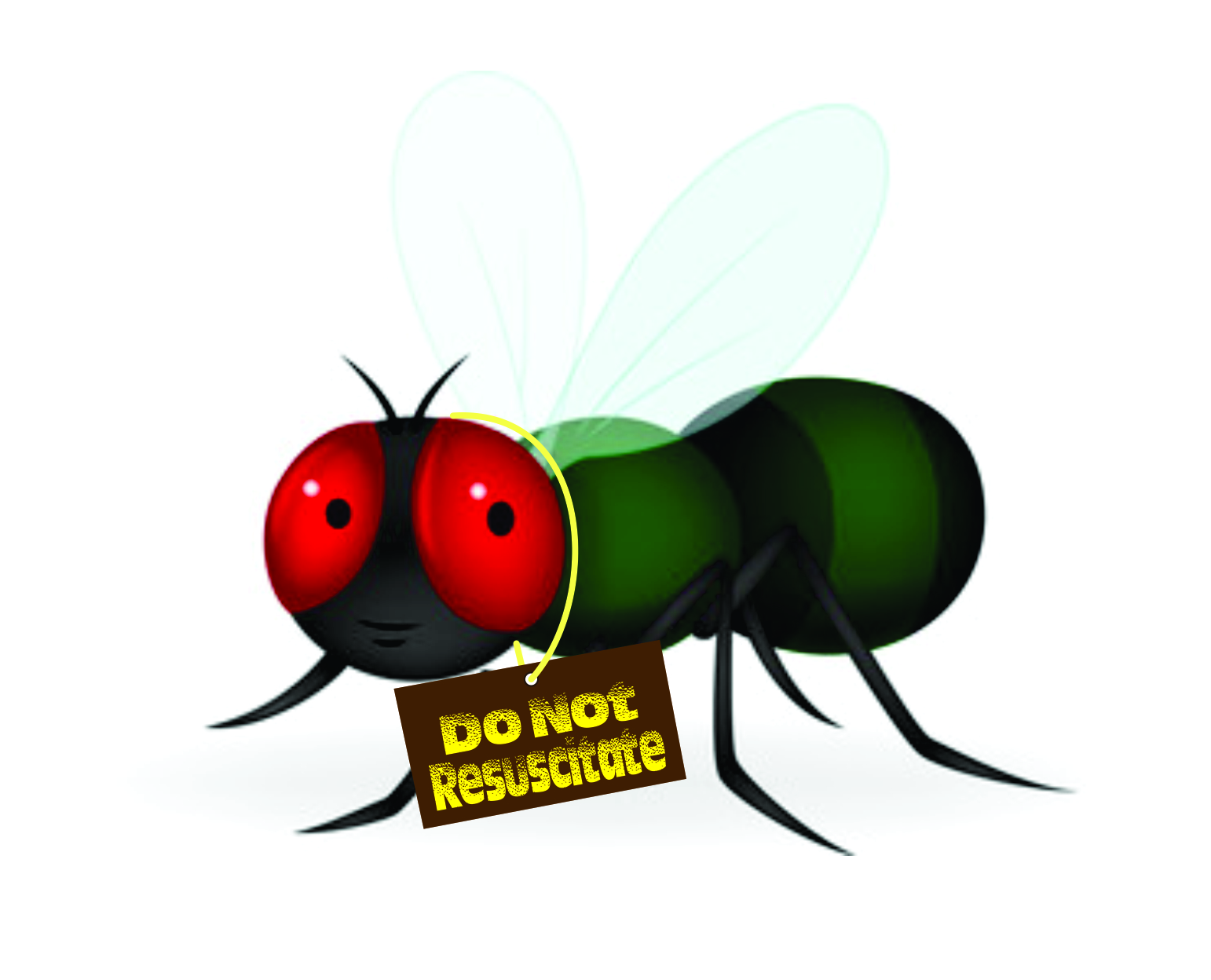 Design Graphique par y creations pour ce projet | Design #28901208