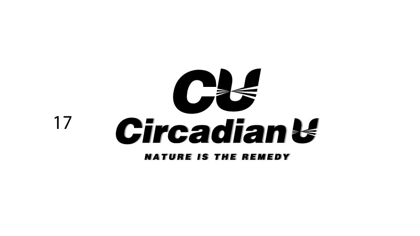 Logo Design by sol design2 for IT'S NOW YOU Trust | Design #28909864