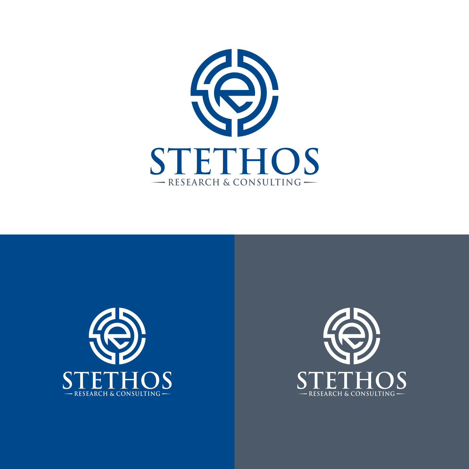 Logo Design by zilong graphic for Stethos Srl | Design #28895618