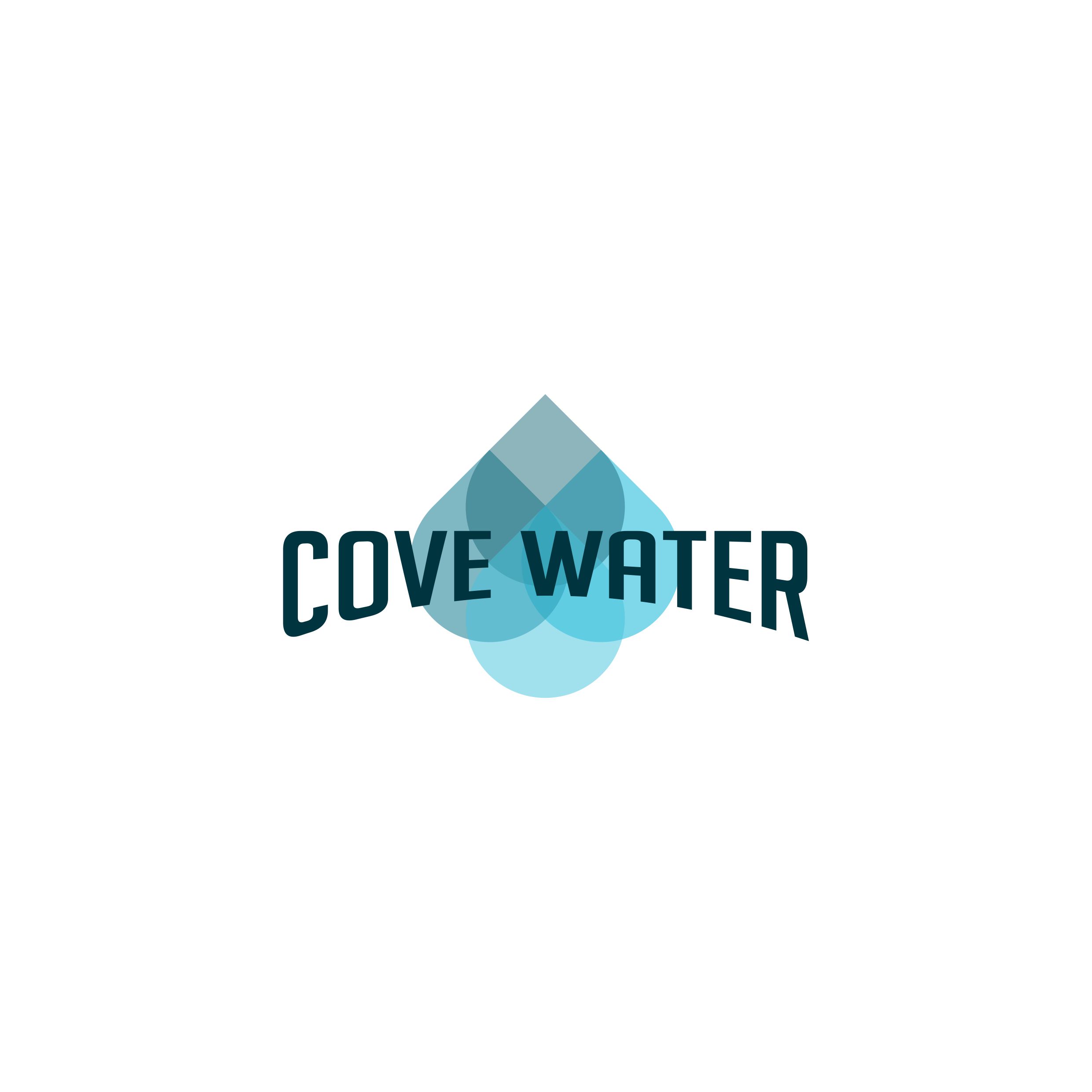 Logo Design by Jeferson HP for this project | Design #28902068