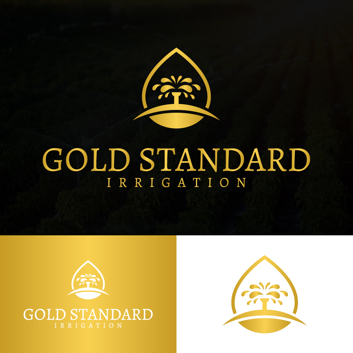 Logo-Design von EvoGo Designers für dieses Projekt | Design #28937384