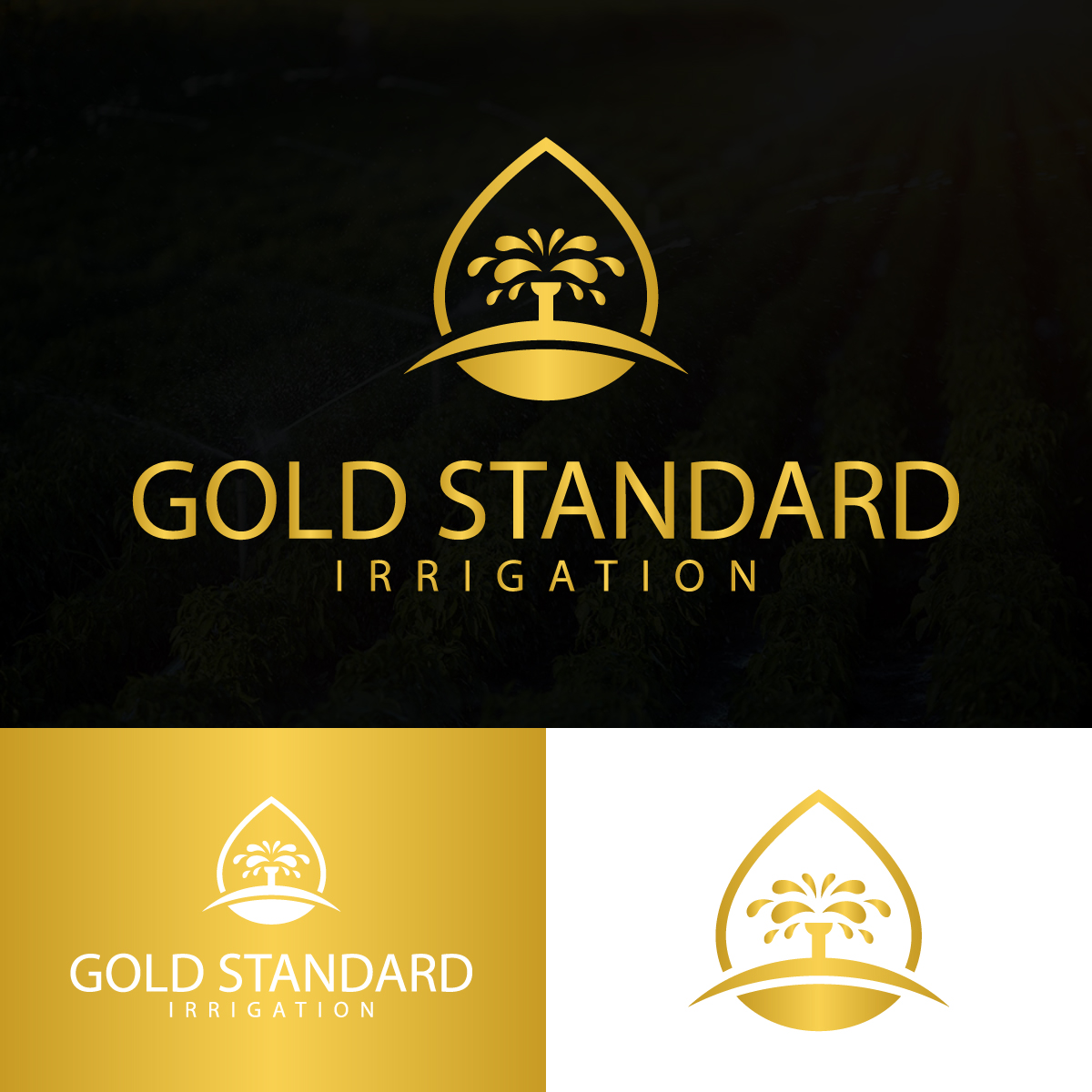 Logo-Design von EvoGo Designers für dieses Projekt | Design #28937401