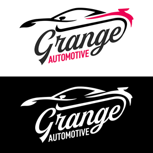 Logo Design by NetSpidy