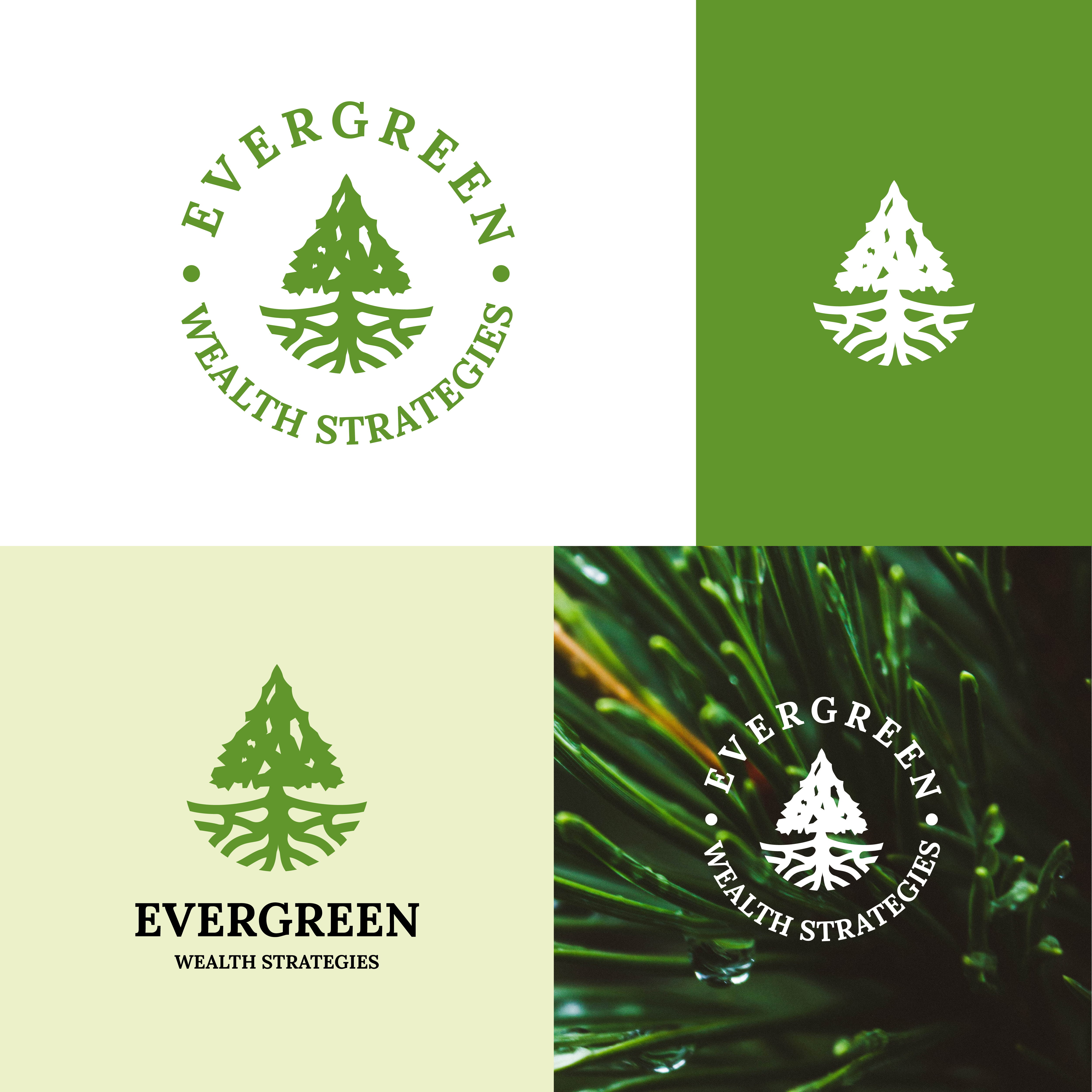 Design de Logo par A.R.D.P pour Evergreen Wealth Strategies, LLC | Design #28942246