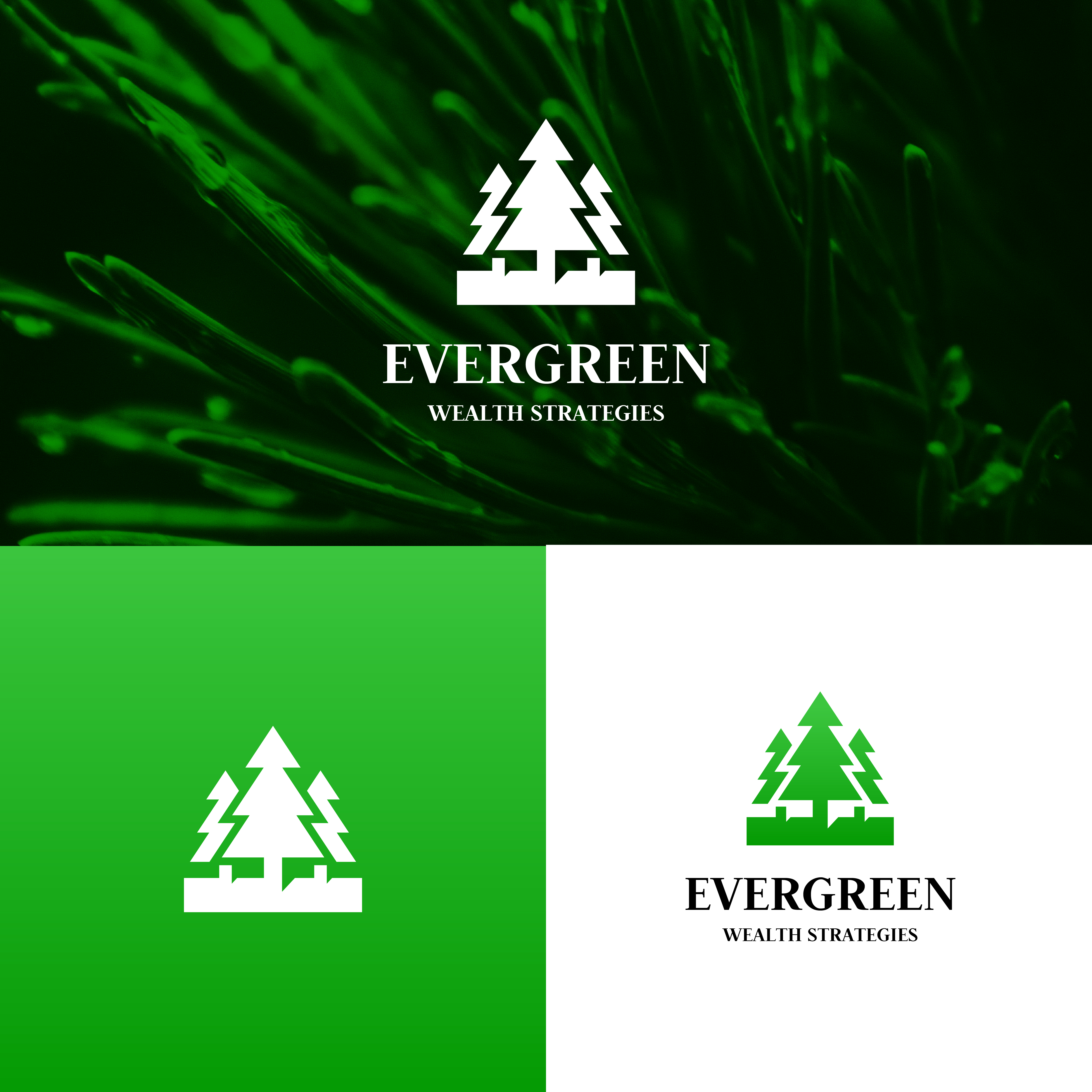Logo Design by A.R.D.P for Evergreen Wealth Strategies, LLC | Design #28964755
