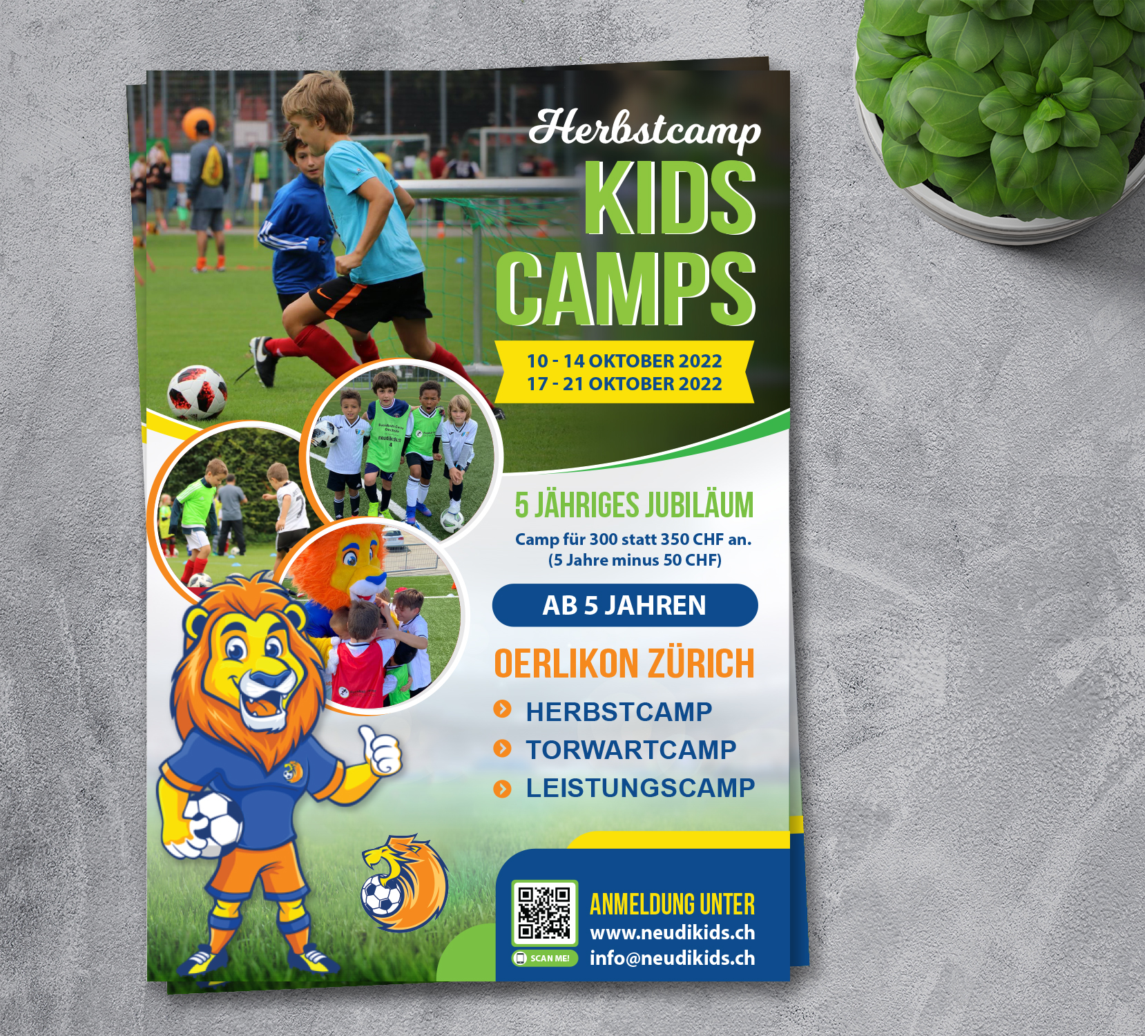 Flyer Design by alex989 for neudikids.ch | Design #28911827