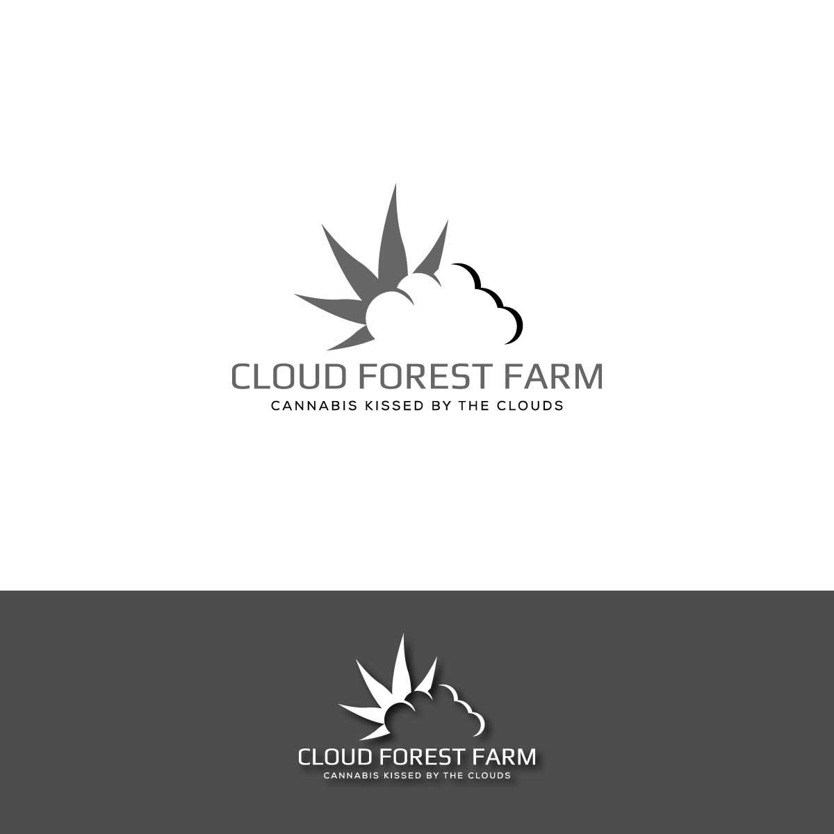 Logo Design by creative.bugs for this project | Design #28917471